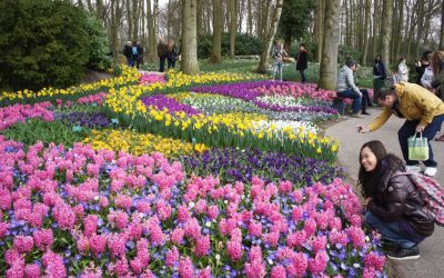 Keukenhof