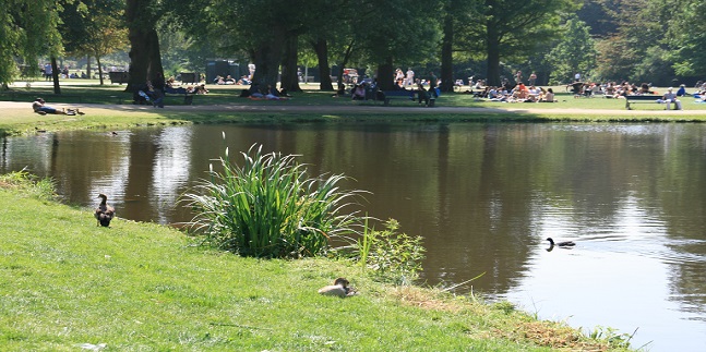 Green Parks of Amsterdam Private Bike Tour